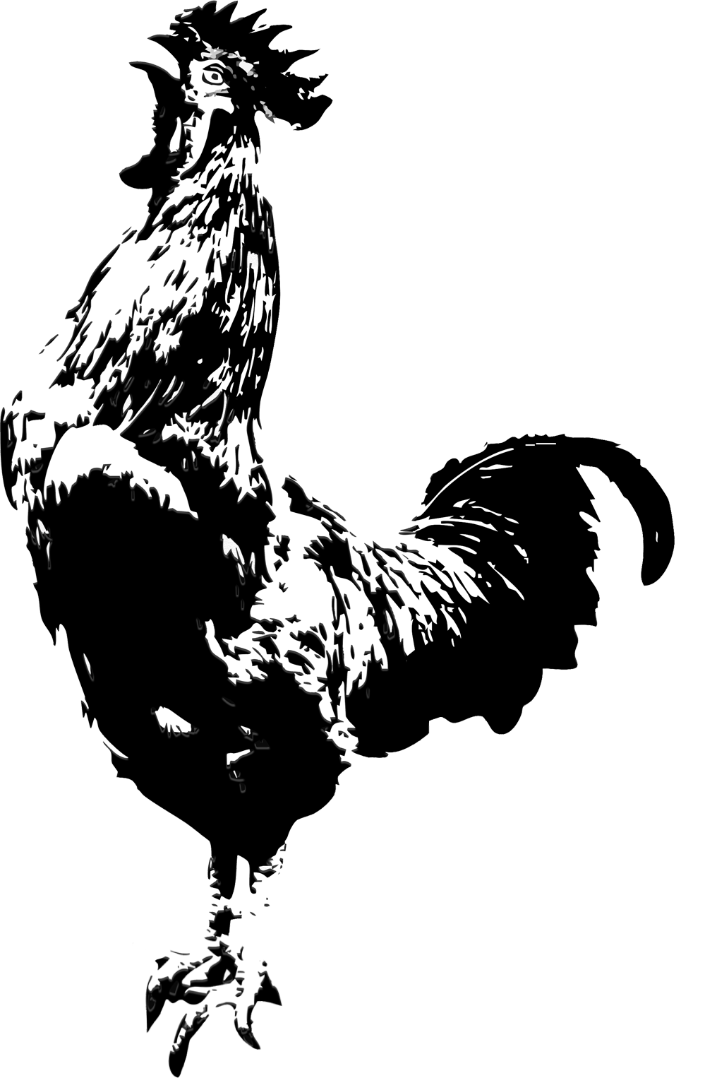 Wooster Street Publishing